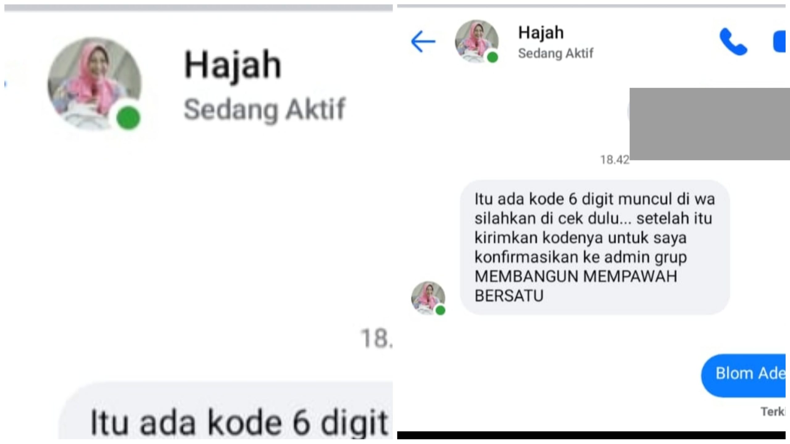 Hajah Erlina Meresahkan Warga Kabupaten Mempawah? Ini Faktanya!