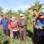 Bupati Erlina Panen Cabai dan Semangka, Dorong Petani Mempawah Tekan Inflasi dan Jaga Ketahanan Pangan