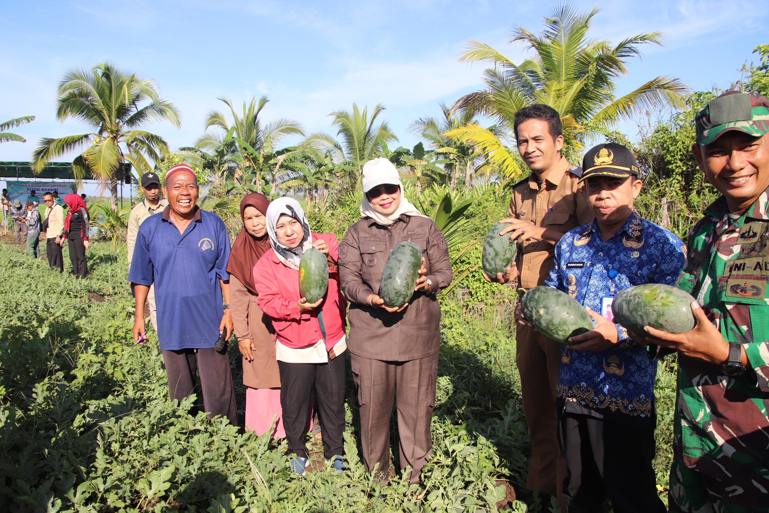Bupati Erlina Panen Cabai dan Semangka, Dorong Petani Mempawah Tekan Inflasi dan Jaga Ketahanan Pangan